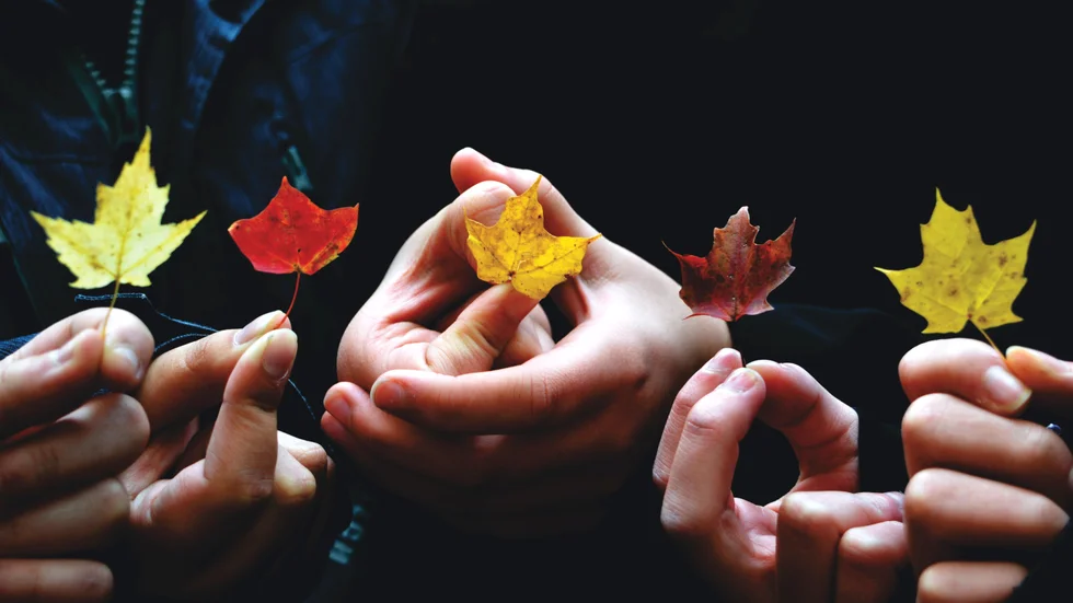 Mellan 31 oktober och 3 november kommer Eskilstuna kommun att anordna ett höstkollo för barn och föräldrar.