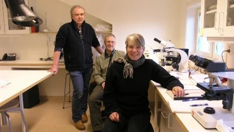 Forskarna vid Institutet för subarktisk landskapsforskning i Arjeplog Lars Liedgren, Greger Hörnberg, Ingela Bergman.