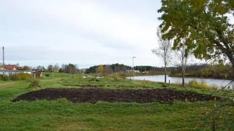 PLATS FÖR VILLOR? I dag finns inga konkreta planer för grönområdet annat än den kommunala bedömningen om dess lämplighet frö bostadsbebyggelse.