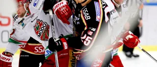Läs hela domen mot Hedman