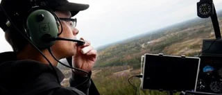 Ovanligt dålig skogsföryngring