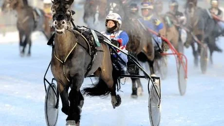 STORSKRÄLLEN. Melvin R.B med Ove A Lindqvist som kusk var gårdagens svårhittade lösning i V4-4. Oddset på deras seger var hela 30.95.