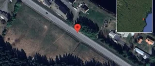 Häst på vägen på väg 829