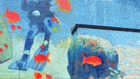 NYMÅLAT. Kuriren har tidigare berättat om denna vägg på Gunillaskolan, som Elton Kore, Emilia Norman och Maria Winbjörk skulle måla på. Såhär ser delar av resultatet ut. Konstverket invigs officiellt på måndag kväll i nästa vecka.