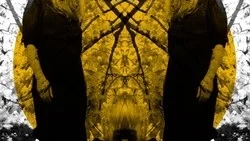 Austra.