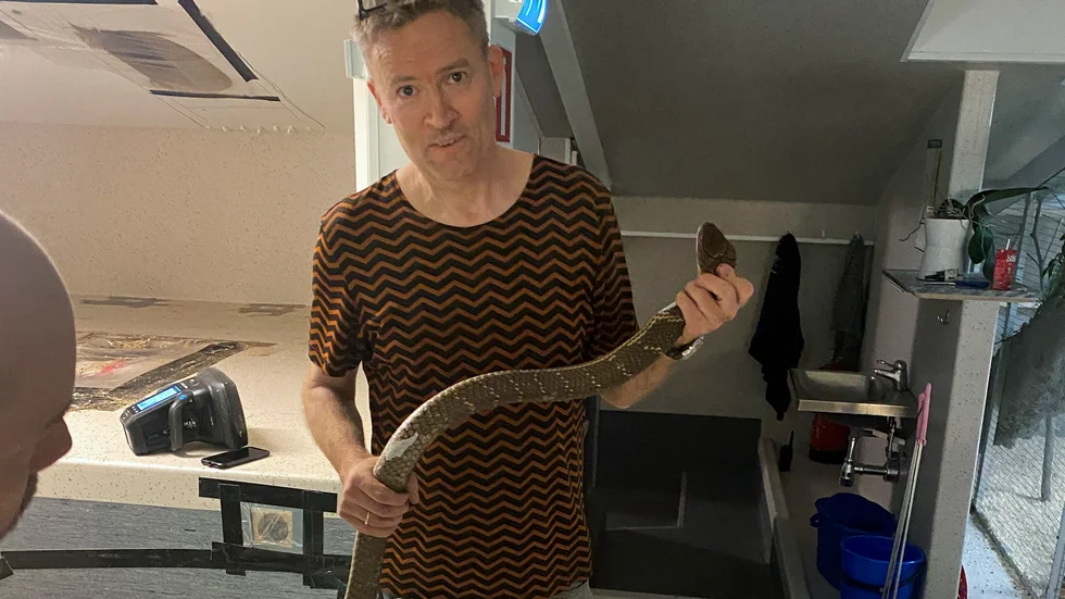 Kalle Melkersson, reptilexpert på Tropicariet i Kolmården, deltog i jakten på kungskobran Sir Vääs, numera kallad Houdini.