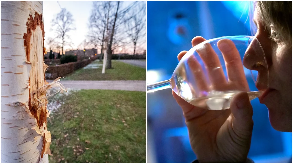 En kvinna i 45-årsåldern åtalas för grovt rattfylleri. 