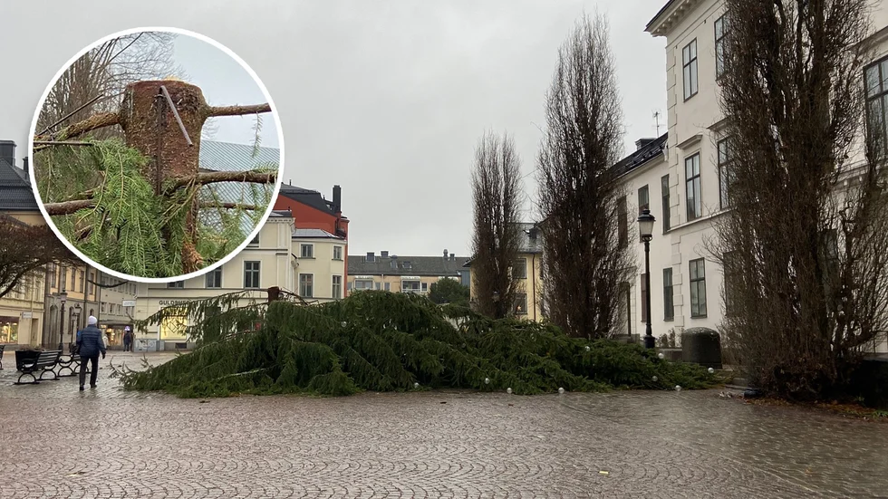 Granen på Stora torget har av allt att döma fått hjälp att falla. Så här såg det ut på torget på annandagens förmiddag.