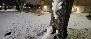 Annorlunda snökonst i Norrköping