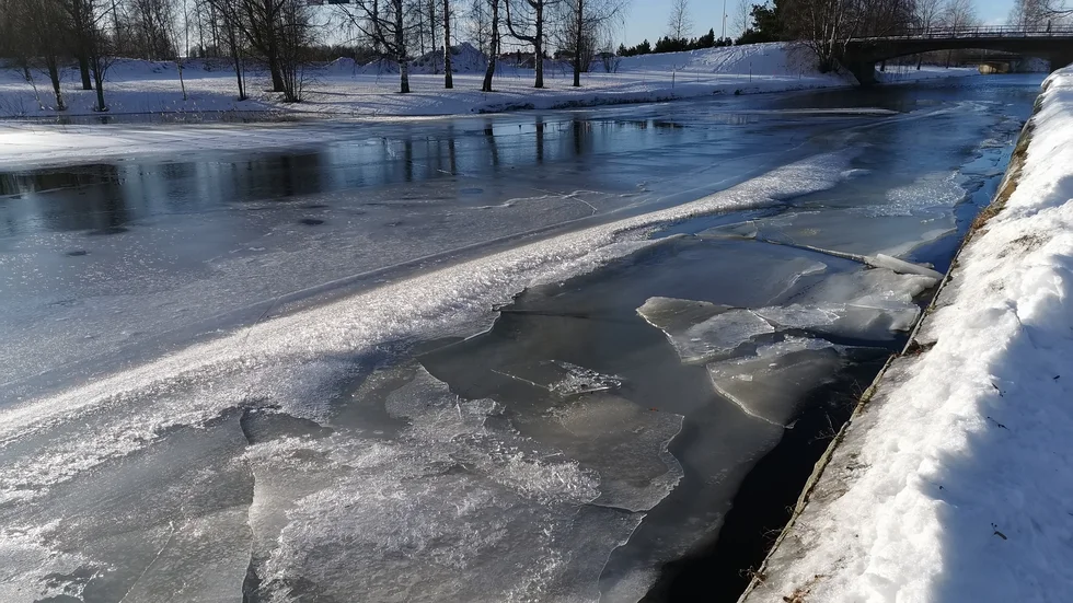 Dagens läsarbild.