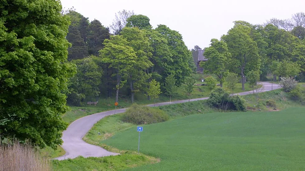 Hammarskog bjuder på mestadels vacker natur. Men också en hel del bråte enligt skribenterna.