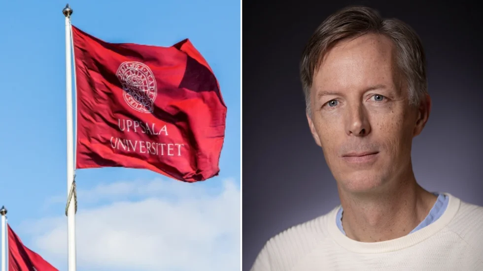 Karl Walentin, gästprofessor i nationalekonomi, förklarar att prisförändringarna handlar om utbud- och efterfrågan.