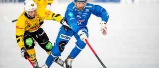 TV: Rohlén och Florén inför Broberg: "Känns piggt"