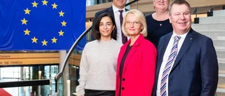 "Den breda mitten" är en realitet i Europapolitiken