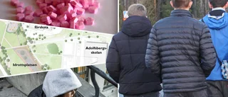 Kritik mot budget: "Vart ska ungdomarna ta vägen?"