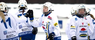Segern som får HT Bandy att drömma om final