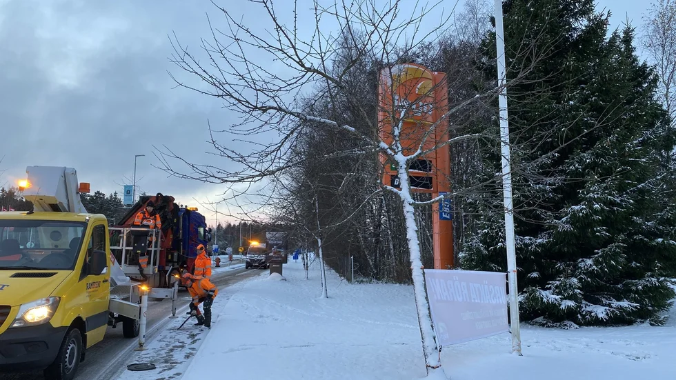 Julgranstransport