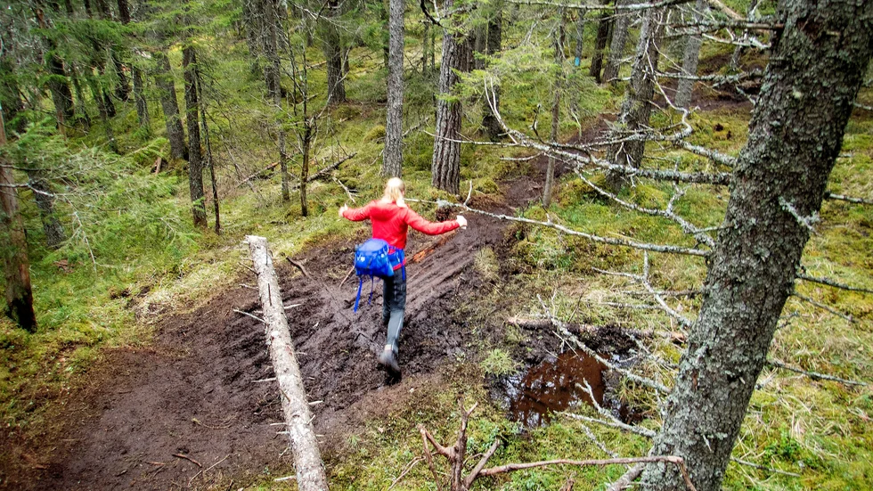 När en kommun arbetar med att bevara och utveckla bostadsnära natur kan fler motiveras till mer utevistelse, menar insändarskribenterna.