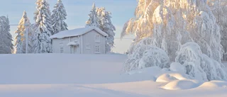Läsarbilden                       
