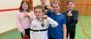 Alléskolan vann rysarfinal i Bästa fyran