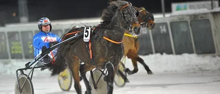 Salmela-dubbel avslutade V64:an på Bodentravet