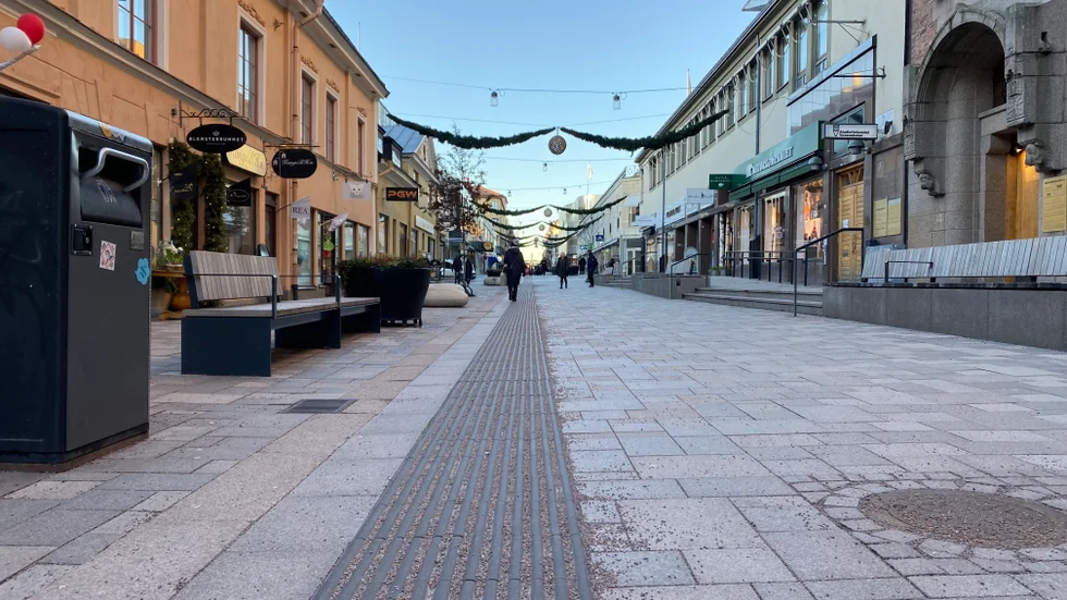 Hundar rastas på gågatan – ett problem enligt vissa butiksägare. 