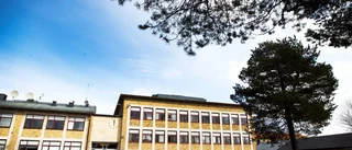 Framtiden: färre små skolor