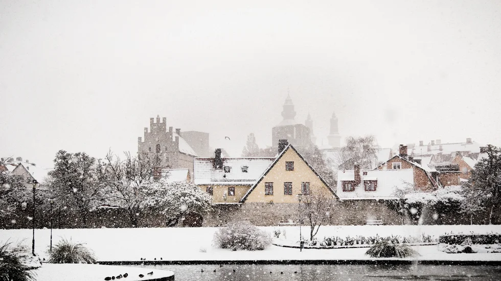 Så här kan det se ut på Gotland ibland. Men inte denna jul, verkar det som.