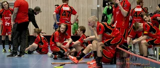 Sviten bruten för Wibax