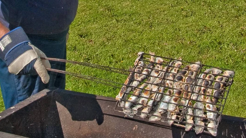 På halster. Halstrad strömming är en delikatess för många och borde inte erbjudas bara vissa äldreboenden tycker insändarskribenten.
