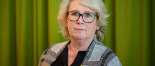 Utredare: Stöd svenska förnybara drivmedel