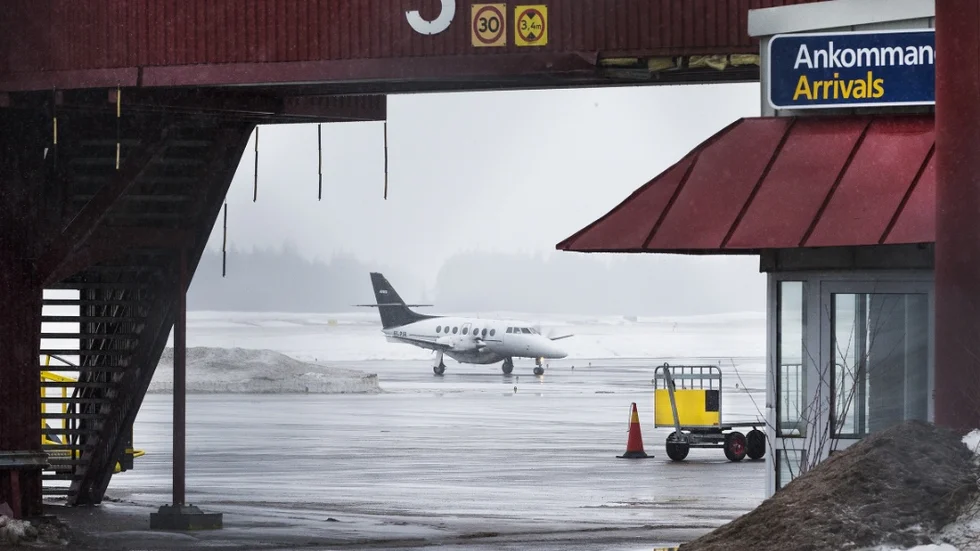 Avies , Pajalaflyget