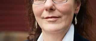 Porjusbo: "Det låter luddigt alltihop"