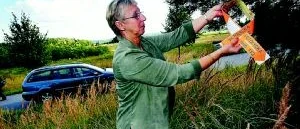 "Viltolyckor inget stort trafikproblem"