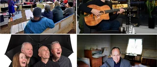 Minoritetspråkfestivalen laddar upp för en folkfest
