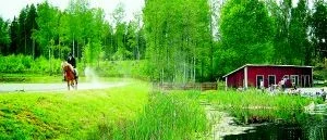 Tävling med islandshästar