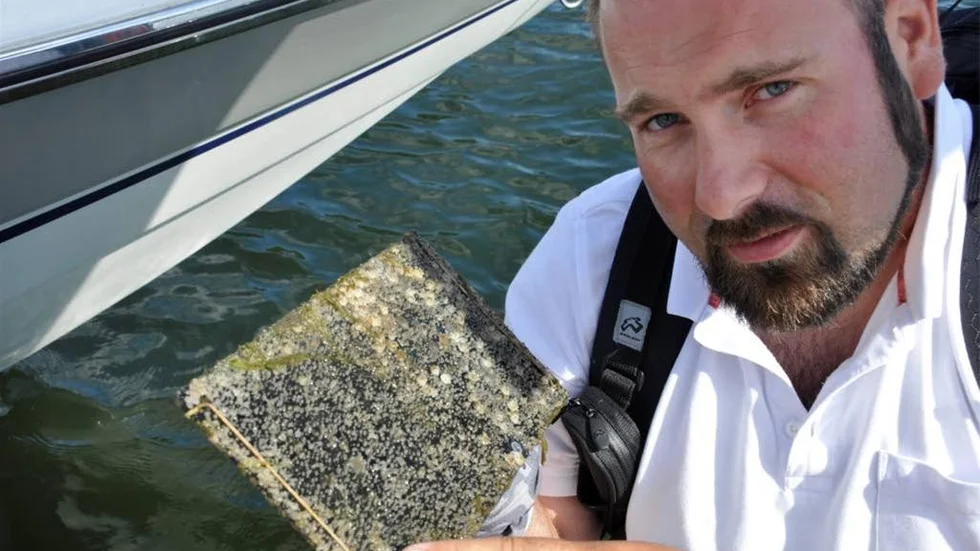 Markus Nord trodde inte sina ögon när han tog upp havsprovet ur vattnet. Det var överfullt av havstulpaner.