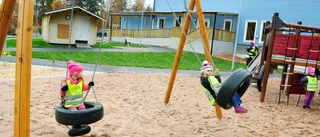 Pandan klar för flytt