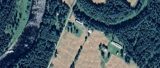 100 000 kronor blev priset när fastigheten på Holmstrand 24 i Fällfors bytte ägare