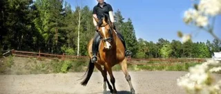 Melanie dressyrelev hos Brink