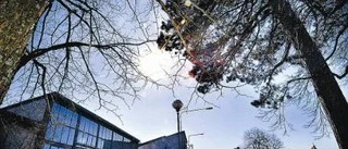 Vårda Västerviks bebyggelse