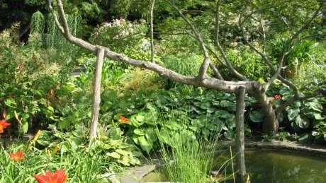 Högsommargrönska, det är då du skördar frukten av vårens arbete. Foto: Gunnel Carlson