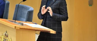 Carle: ”Busch Thor – en kandidat till ny statsminister”