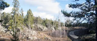 Bolag vann vindkraftstrid
