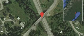 Älg på vägen på E4