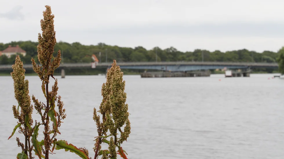 Under måndagskvällen inkom ett larm om att en person setts ramla över ett räcke vid Tosteröbron i Strängnäs. 