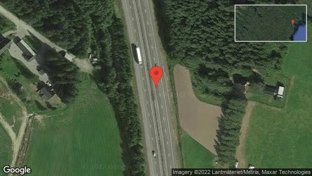 Älg på vägen på E4