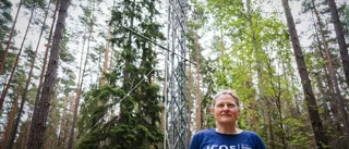 Metan från Nord Stream har nått Uppsala • Tydlig topp vid läckaget i tisdags