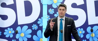 ”Det är givetvis direkt felaktigt”