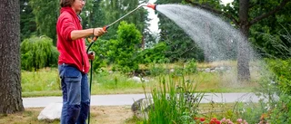 Sommarjobbsgaranti för unga